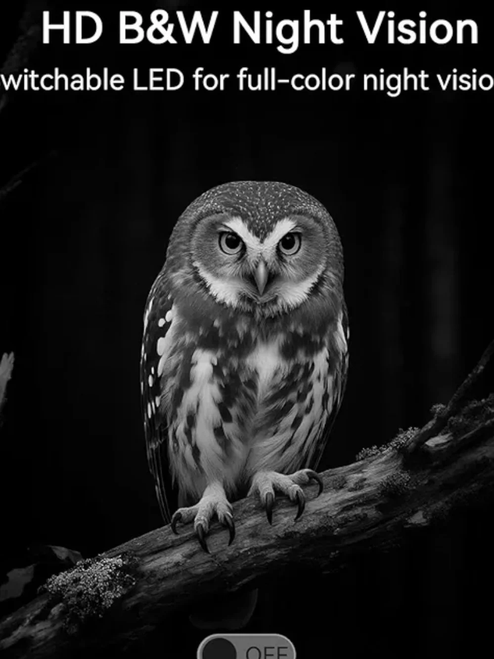 4G LTE Camouflage Solar Trail Camera with Night Vision & Motion Sensor